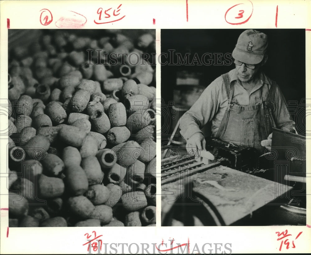 1979 Worker Saws Corncob Into Right Length for Pipe Bowl - Historic Images