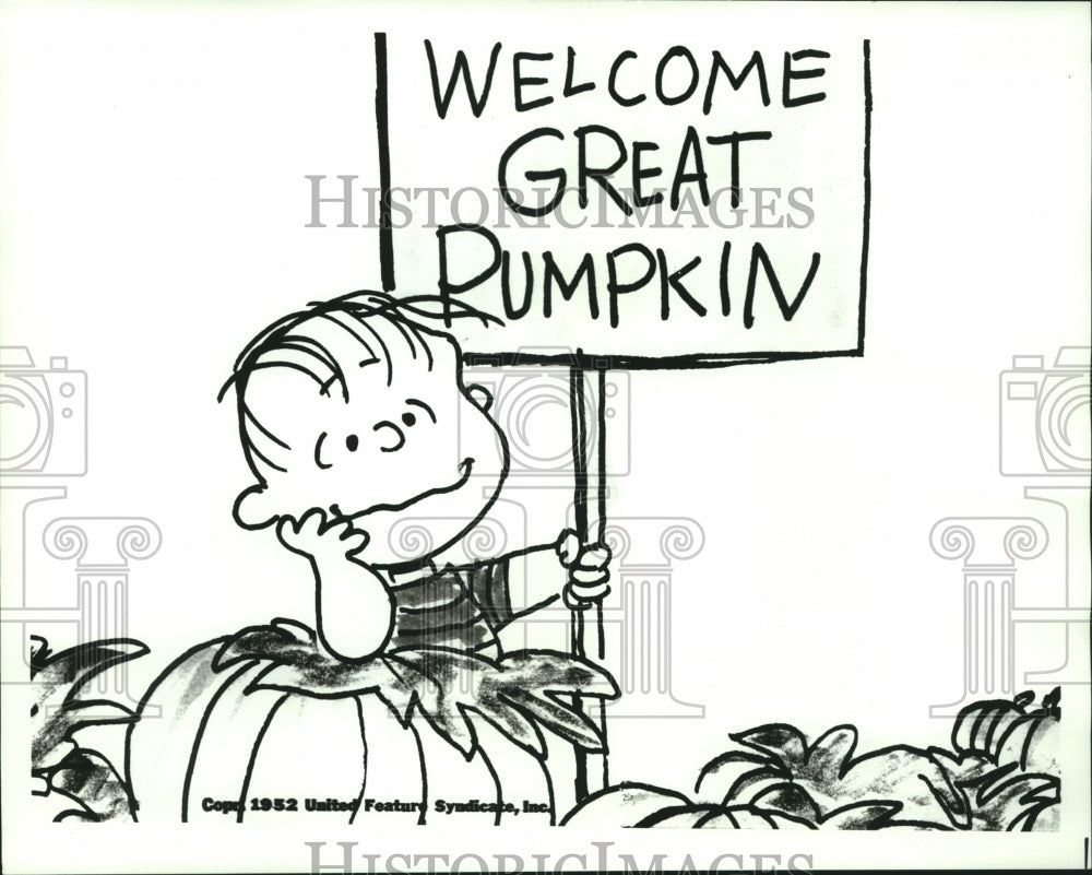 1981 Press Photo Linus Sits in the Pumpkin Patch to Welcome the Great Pumpkin - Historic Images