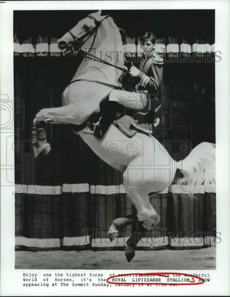 1992 Royal Lipizzaner Stallions at The Summit in Houston, Texas - Historic Images