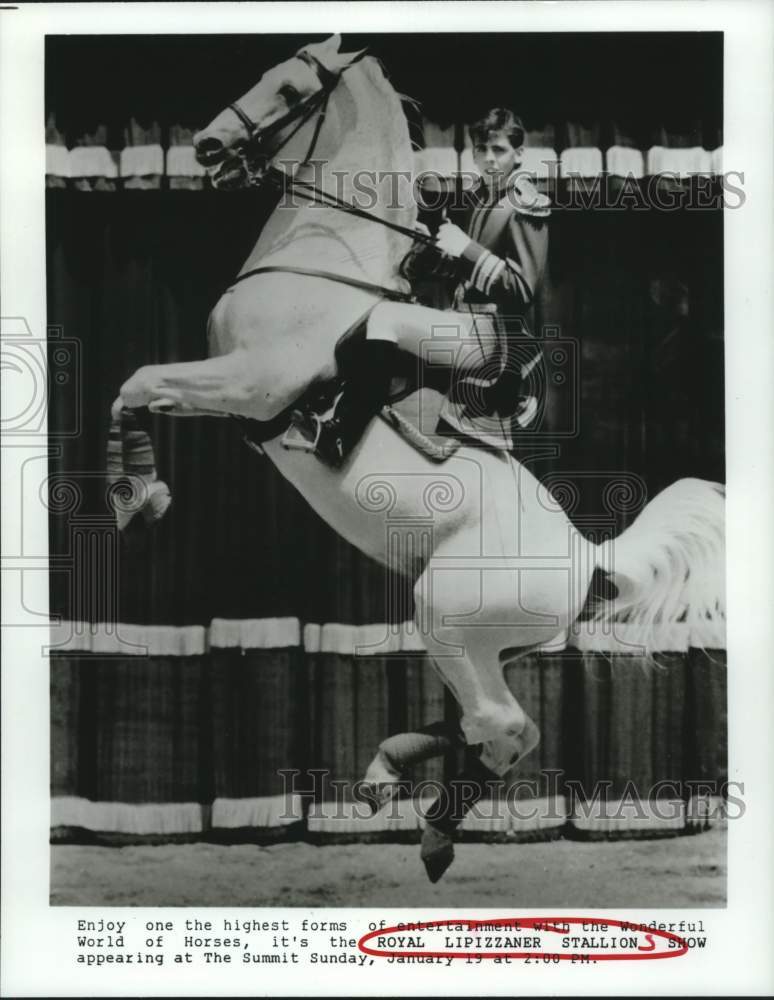1992 Royal Lipizzaner Stallions at The Summit in Houston, Texas - Historic Images