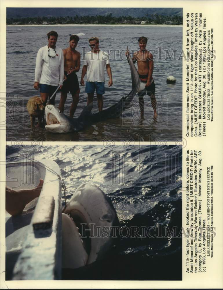 1994 Press Photo Shark Fishing in Oahu Brings in 11 1/2-Foot-Long Tiger Shark - Historic Images