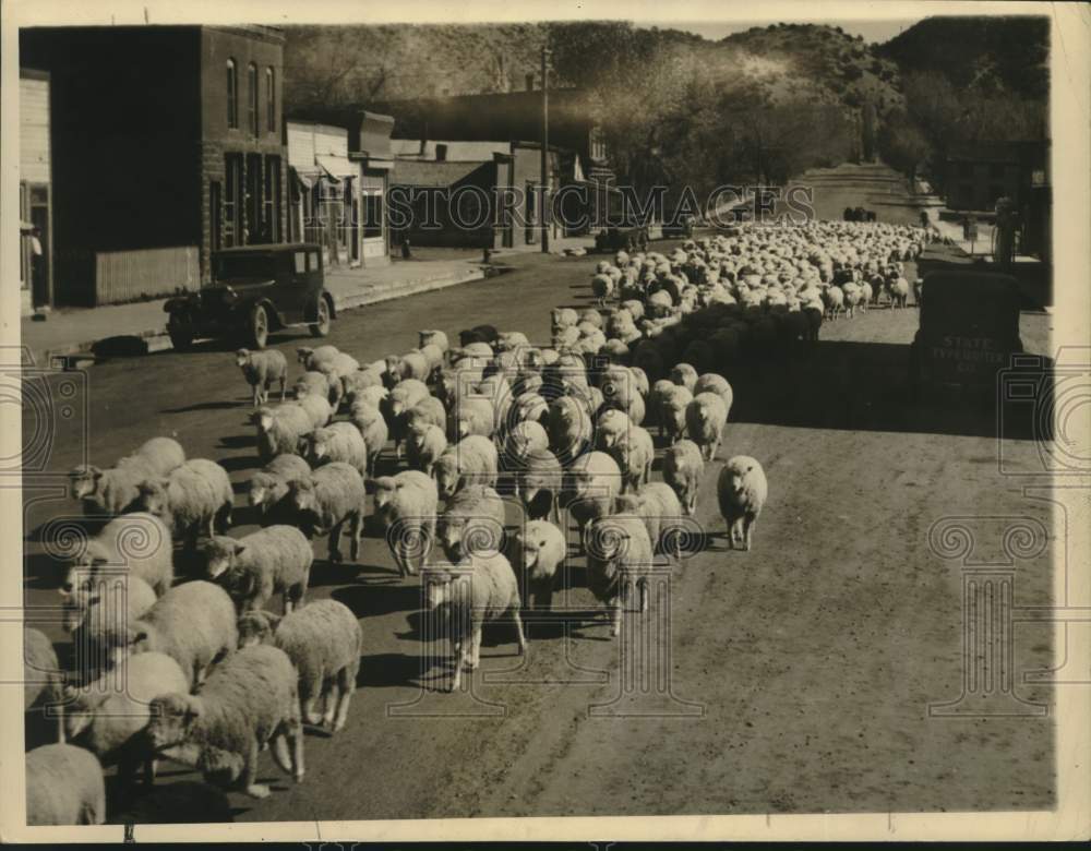 1935 Press Photo Herd of sheep walk through town main street - Historic Images