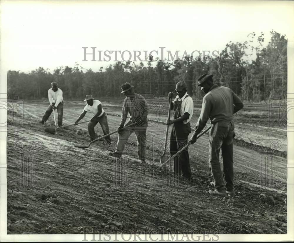 1962 Men shovel dirt at interstate 10 construction site in Texas - Historic Images