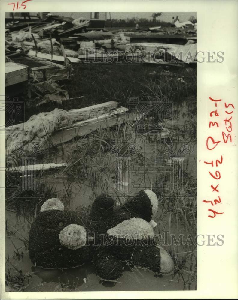 1983 Press Photo Teddy bear lies in puddle - Tornado destroyed home - Houston - Historic Images