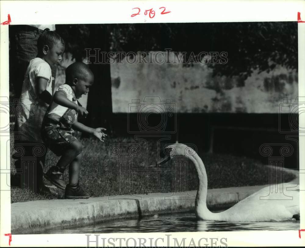 1992 Press Photo Pushy Swan Surprises Kids at Post Oak Park - Historic Images