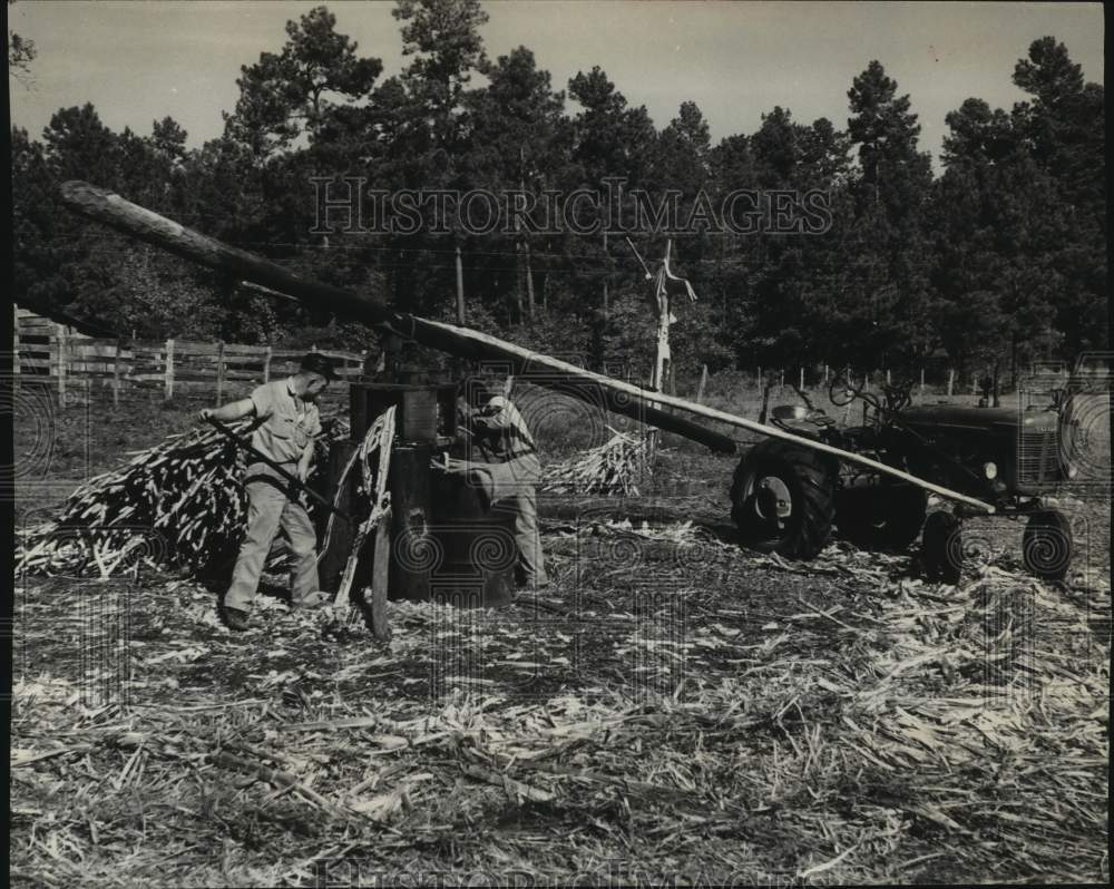 1962 Driverless Tractor Keeps Turning Squeeze Juice for Syrup - Historic Images