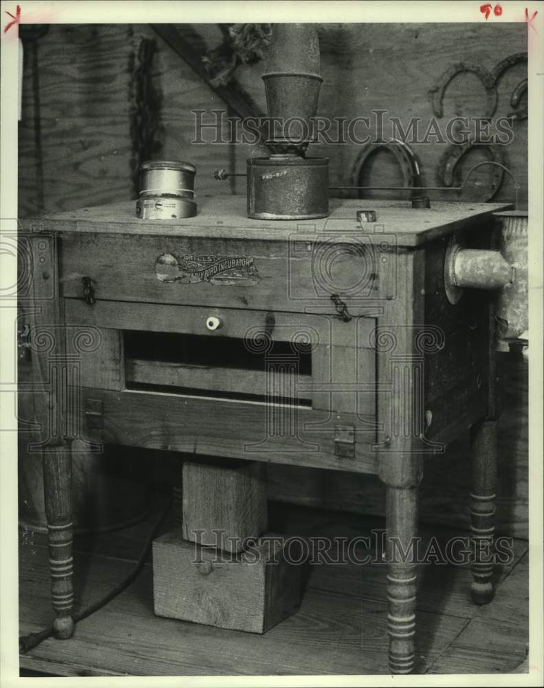 1980 Press Photo Chicken Incubator, Tomball Community Museum Center, Texas - Historic Images