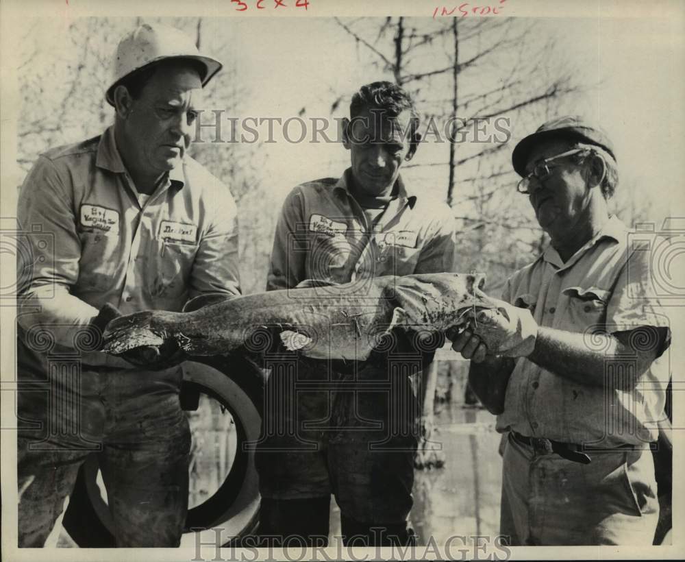 1970 Press Photo Workers Find Catfish Struggling for Air in Oily Turtle Bayou - Historic Images