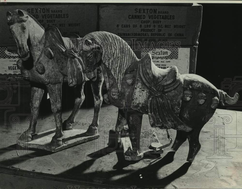 1965 Chinese horses confiscated by U.S. Customs agents in Houston - Historic Images