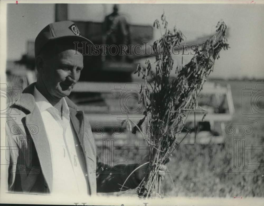 1966 Press Photo Texas farmer Frank Seale with his soybean crop - Historic Images