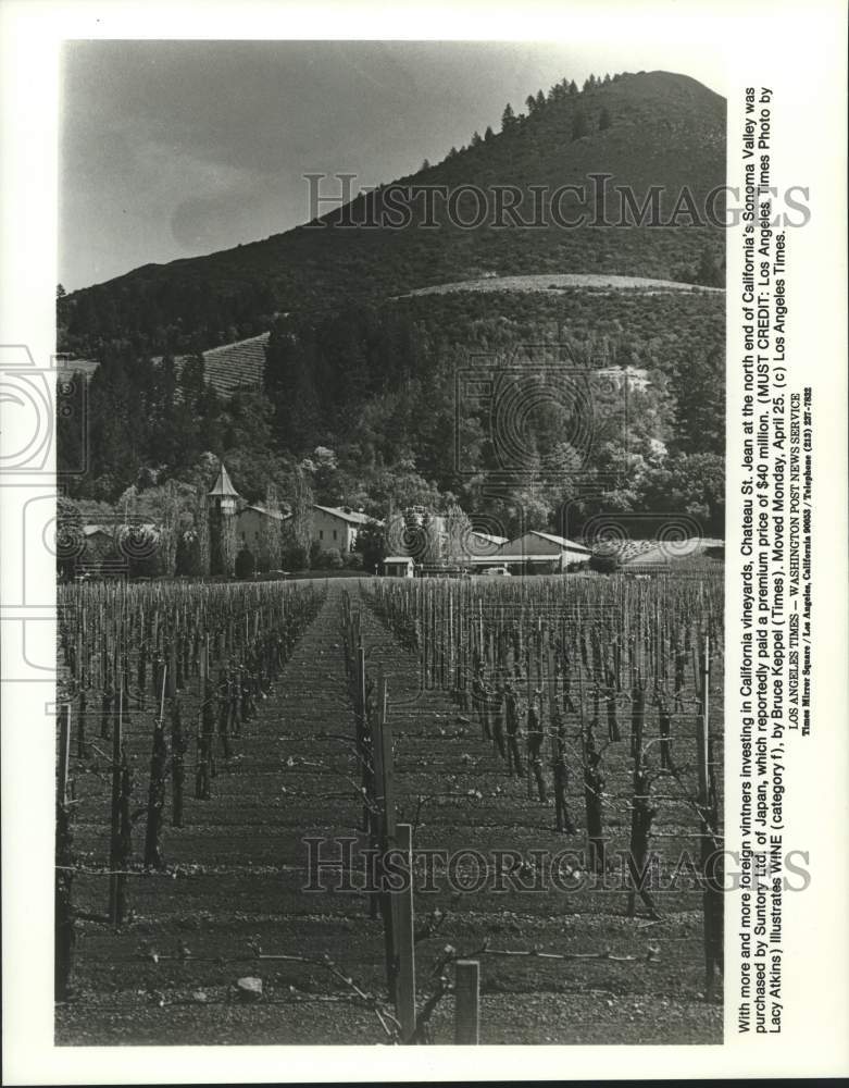 1989 Press Photo Vineyards in Chateau St. Jean, California - Historic Images