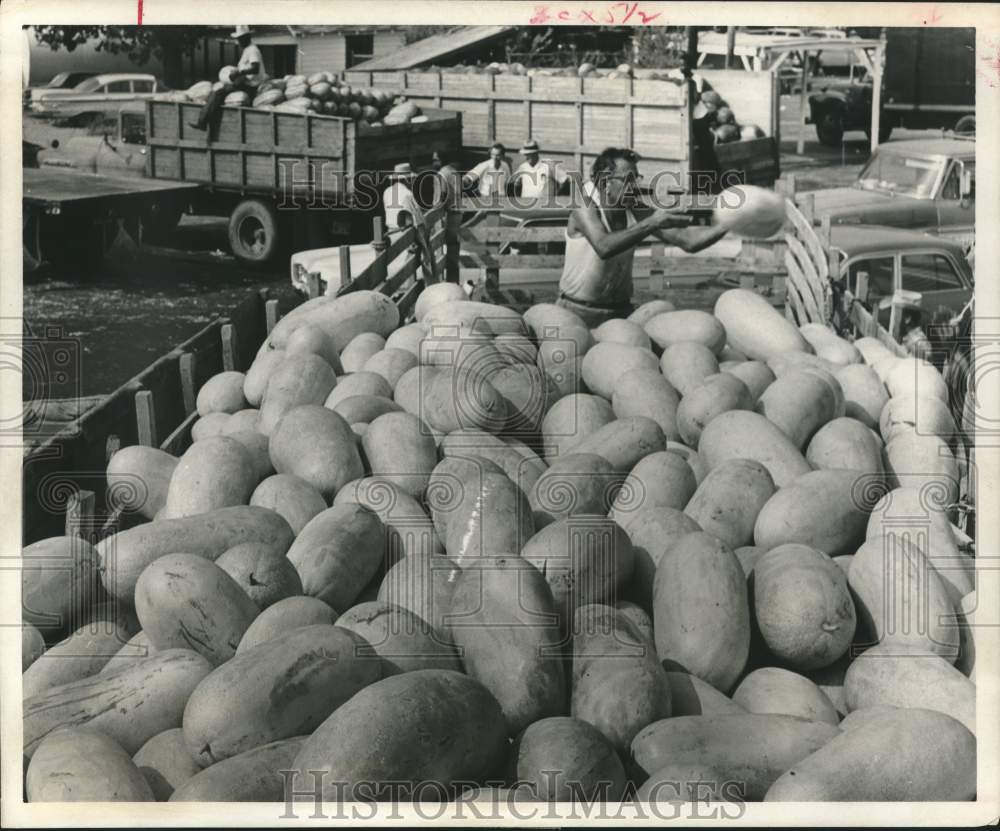 1969 Press Photo Watermelon Grower unloads Crop, Farmer&#39;s Co-Operative, Houston - Historic Images