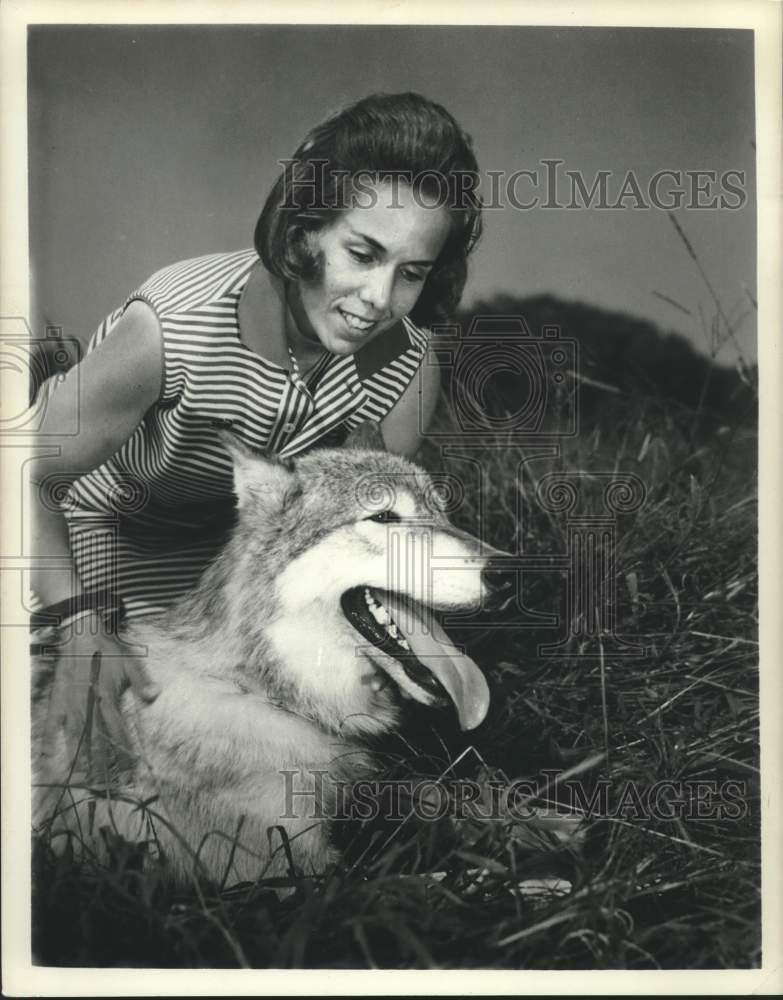 1969 Press Photo Expert Mary Fine and wolf for GE Monogram Series "The Wolf Men" - Historic Images