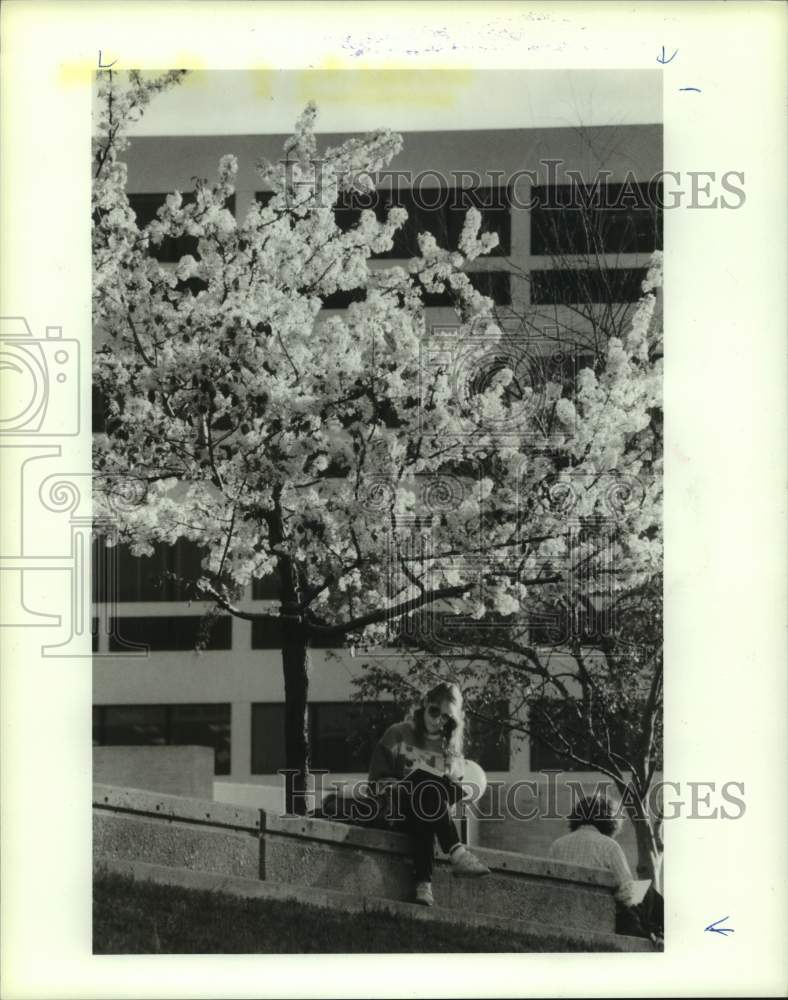 1989 Press Photo University of Houston student Chris Gay studies outside in sun - Historic Images