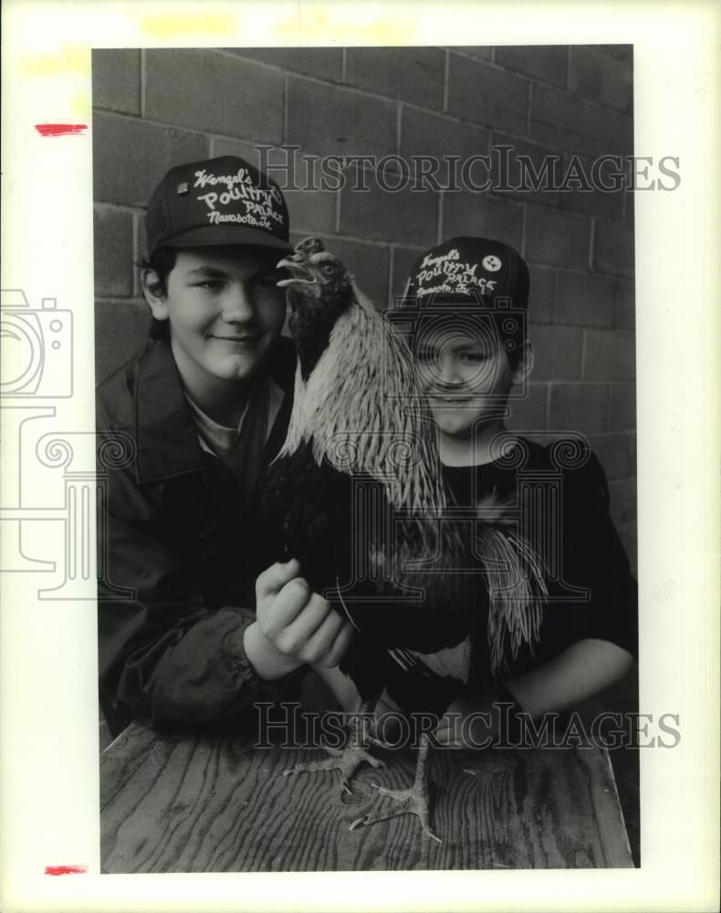 1988 Martin &amp; Jason Wenzel with Golden Duckwing Americana Cock in TX - Historic Images