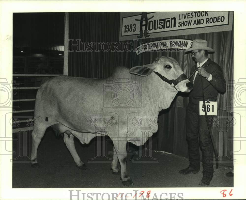 1983 Champion cow and Herdsman Joe Ray Joines Houston Livestock show - Historic Images