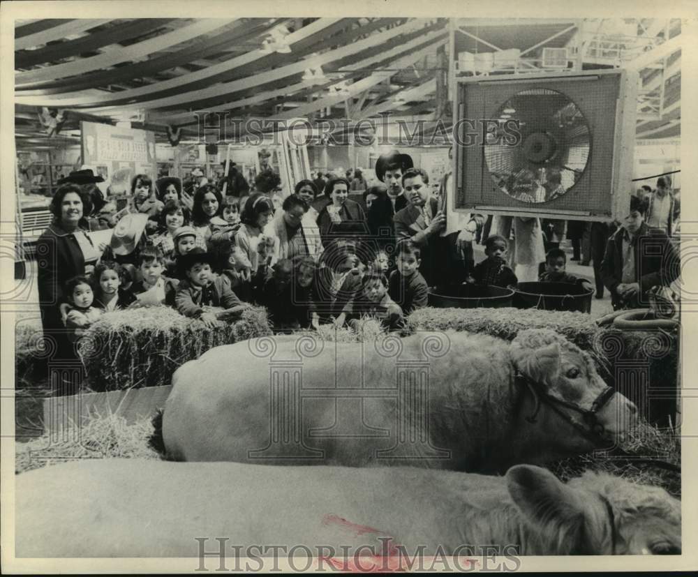 1969 Press Photo Group of children look at cows - Houston Livestock show &amp; Rodeo - Historic Images