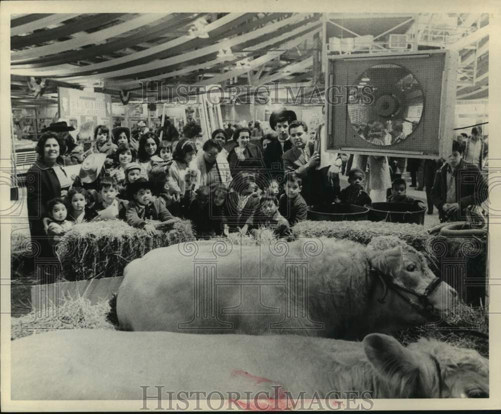 1969 Press Photo Group of children look at cows - Houston Livestock show & Rodeo - Historic Images