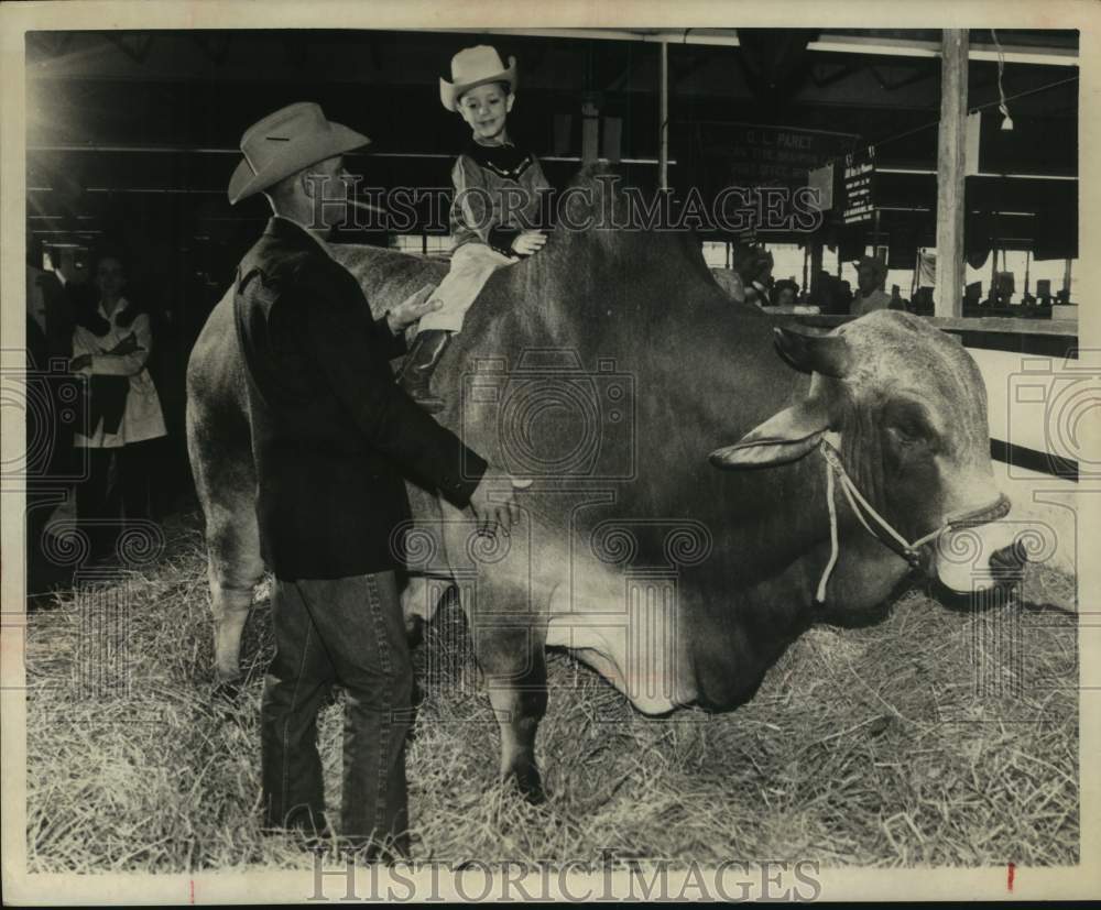 1964 Press Photo Duke Conners sits on Brahman bull at Houston Livestock Show - Historic Images
