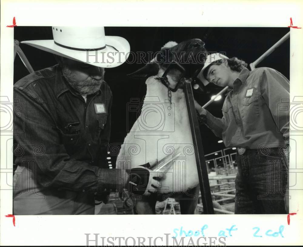 1993 Press Photo Charles &amp; Heath Fisher sheer sheep - Houston Livestock Show - Historic Images