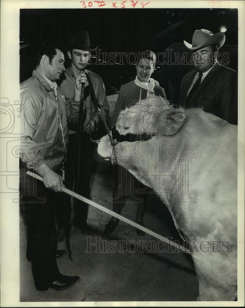 1970 Houston Livestock Show and Rodeo participants with Charolais - Historic Images