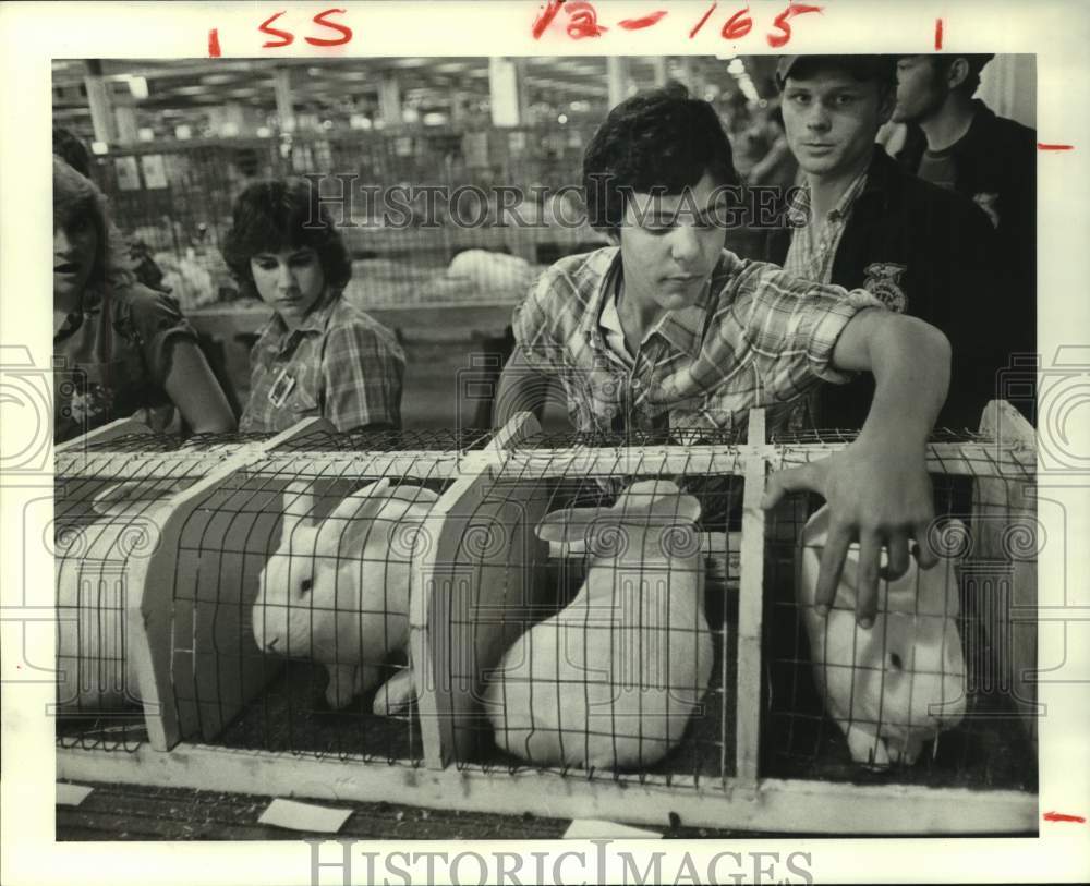 1982 Press Photo Tom Lapinski checks on his rabbit at Houston Livestock Show - Historic Images