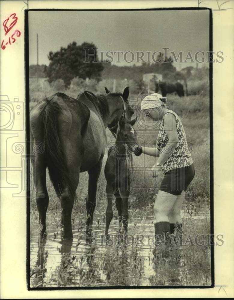 1979 Jill Dawson Checks on Animals in Flood Water in Texas - Historic Images