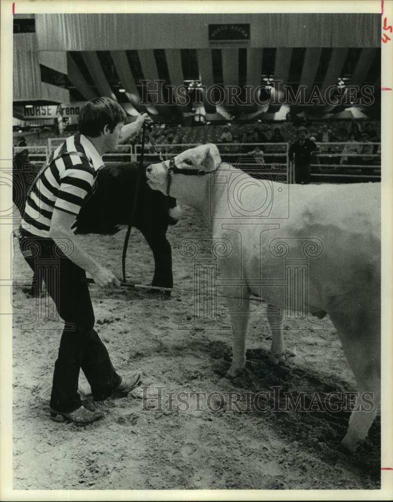 1976 Press Photo Peter Packard shows cow at Houston Livestock Show - Historic Images