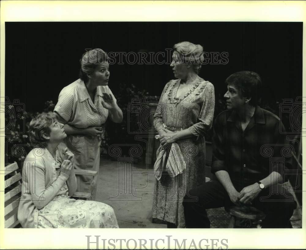 1986 Press Photo Scene from Alley Theater's "The Traveling Lady" on stage in TX - Historic Images