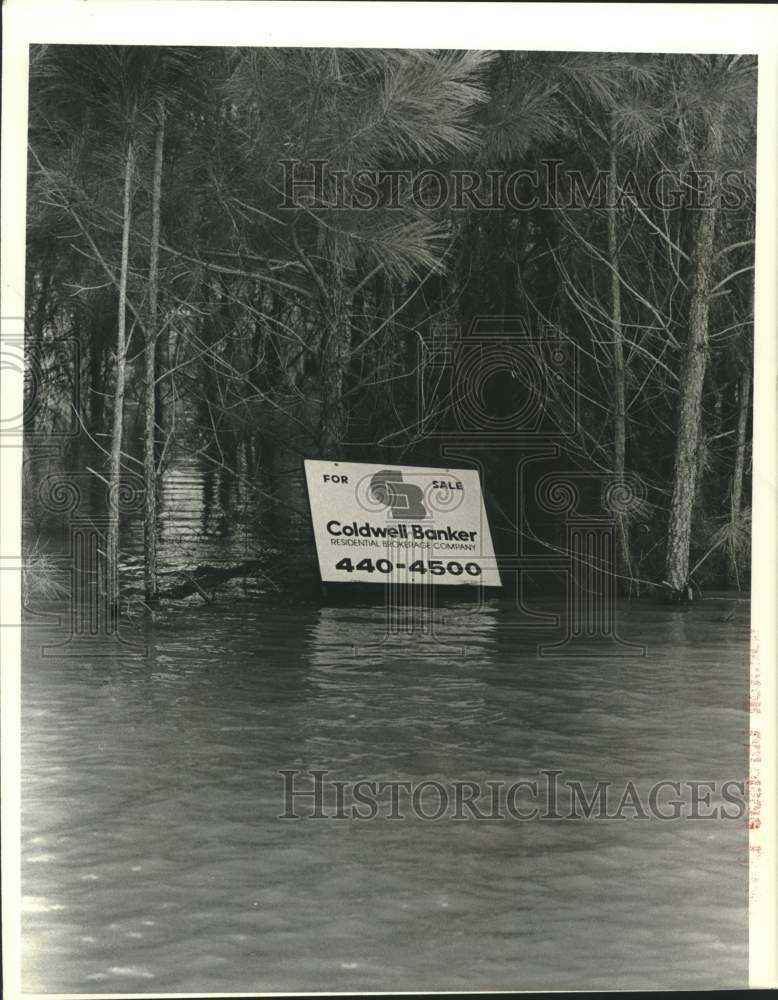 1979 Realty sign stands in flood waters - For Sale in Houston - Historic Images