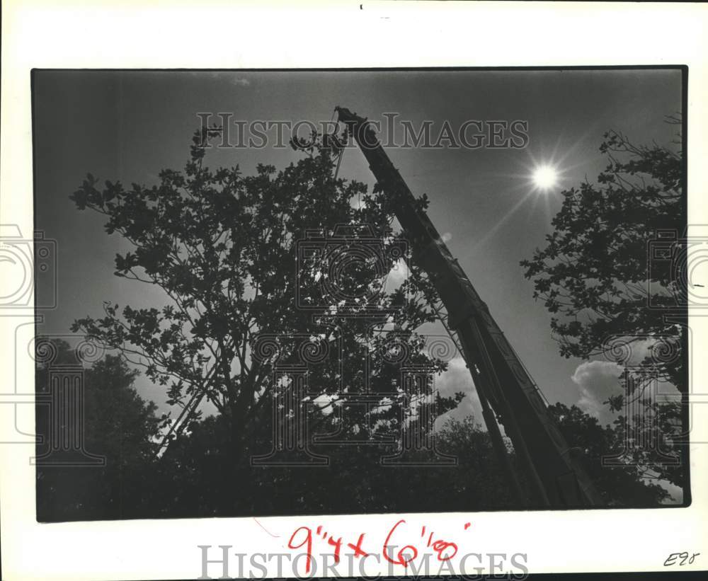 1982 Press Photo Magnolia still standing-resisting attempts to relocate-Houston - Historic Images
