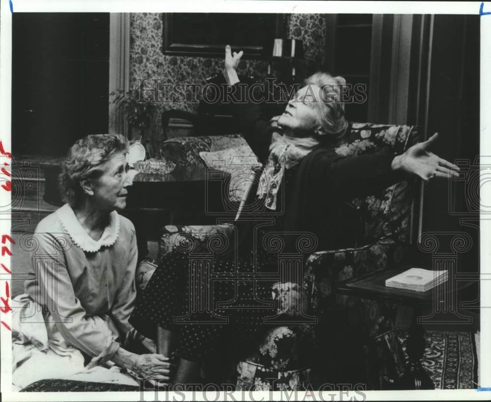 1981 Press Photo Actors in scene from To Grandmothers House We Go, Alley Theatre - Historic Images