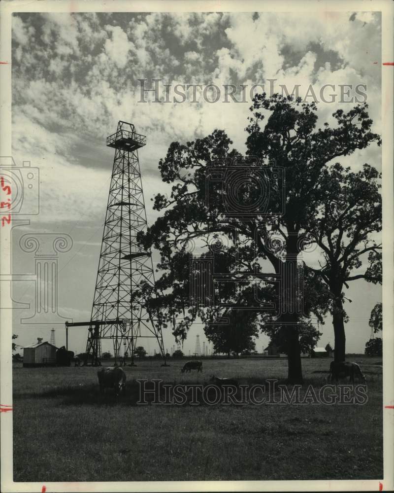1983 Press Photo Oil wells in Texas - Historic Images