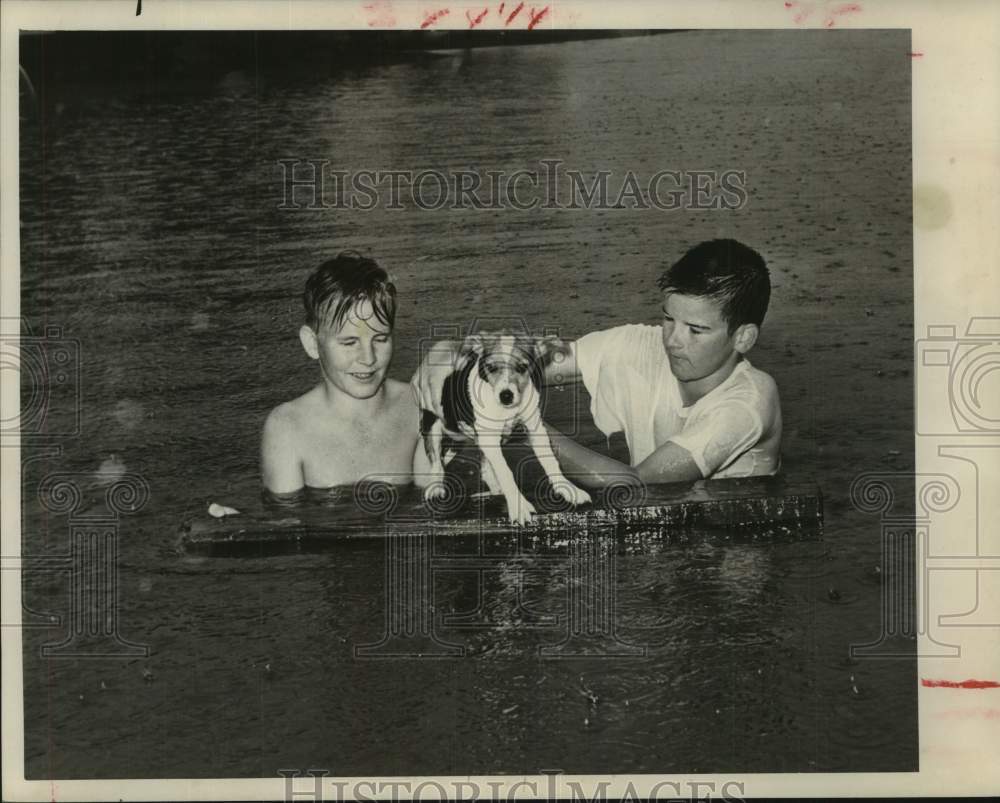 1960 Press Photo Boys try to get dog to stand on floating board - Houston flood - Historic Images