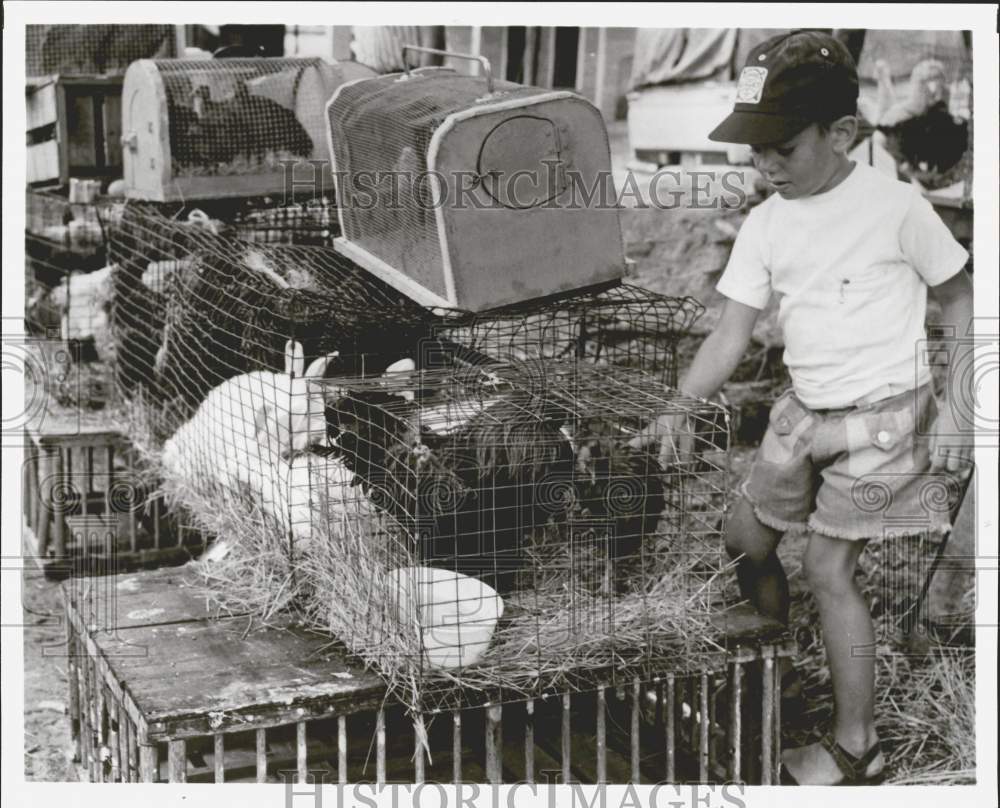 Press Photo Youngster inspects chickens and rabbits at First Monday Trades Day - Historic Images