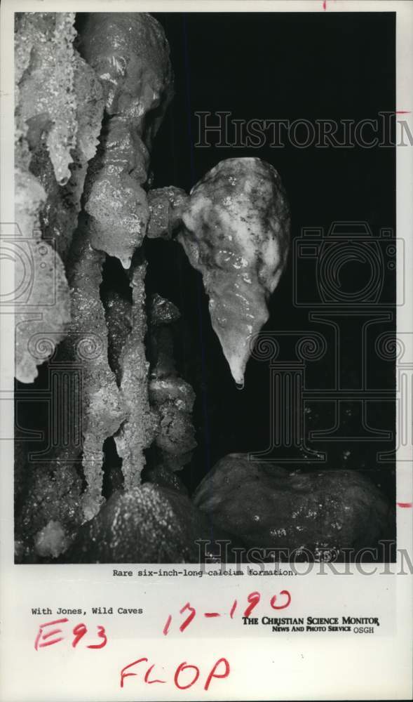 1977 Press Photo Rare calcium formation found in United States cave. - hpa05660 - Historic Images