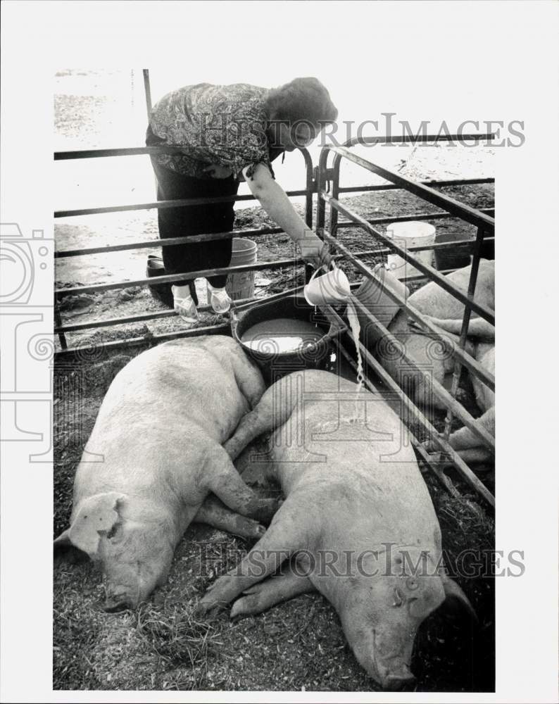 1983 Press Photo Woman Pouring Water on Pigs at the Harris County Fair - Historic Images