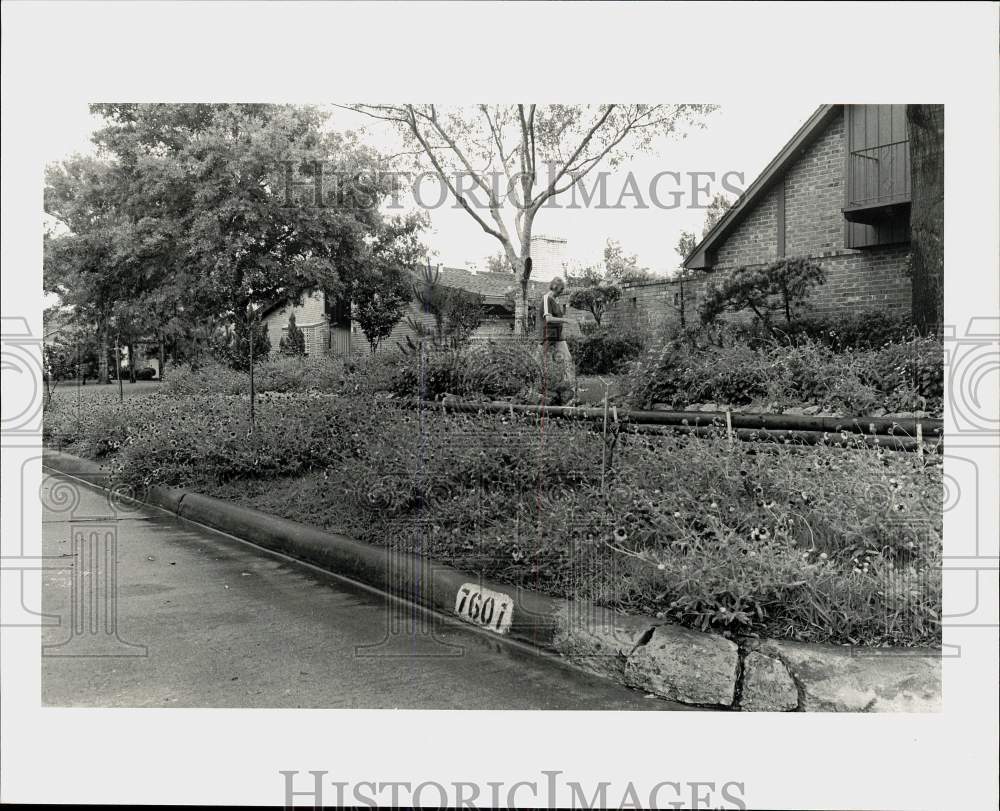 Press Photo A Pagewood front yard with wildflowers. - hpa36166 - Historic Images