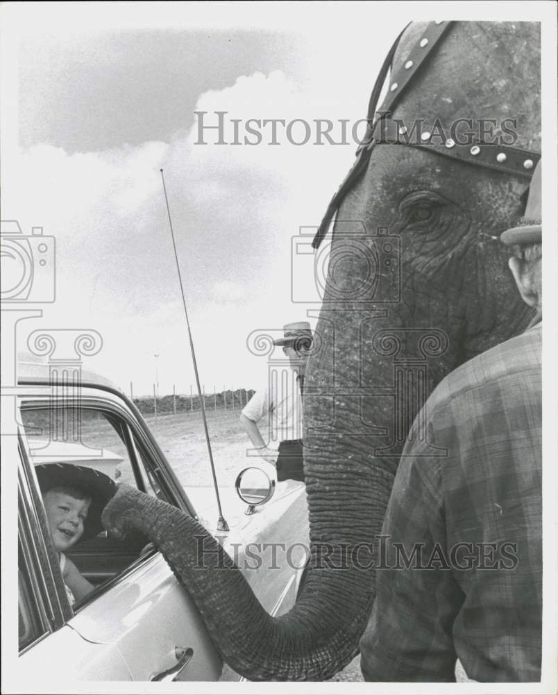 1965 Press Photo Young boy watches elephant put his trunk in window at circus- Historic Images