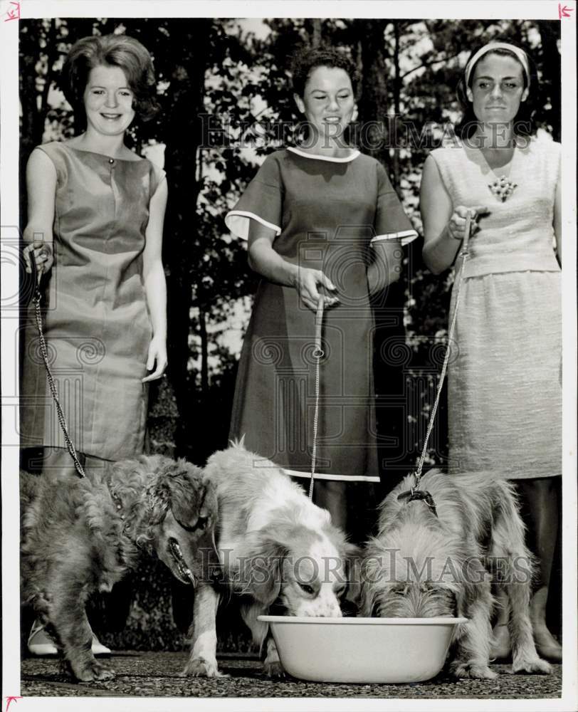 1966 Press Photo Mrs. Robert McMurrey and friends pose with their pets, Houston- Historic Images