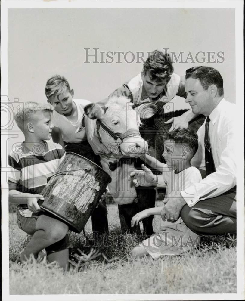 1956 Press Photo Dr. Gordon Logan helps Boys&#39; Harbor boys with calves.- Historic Images