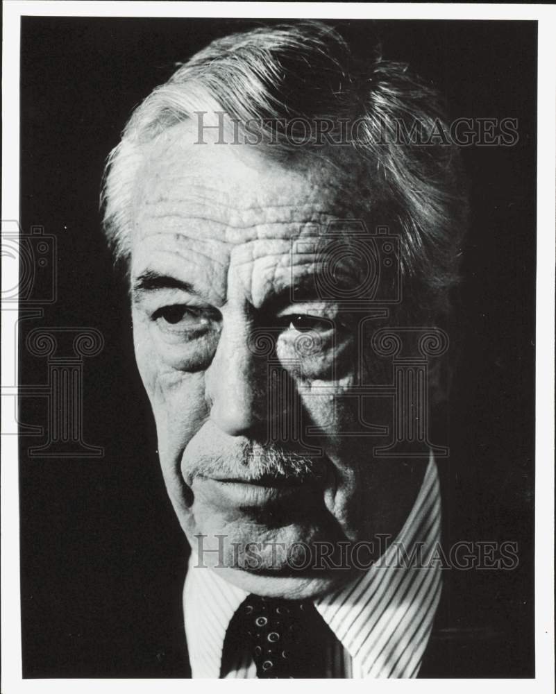 1980 Press Photo Director John Huston - hpp39538- Historic Images