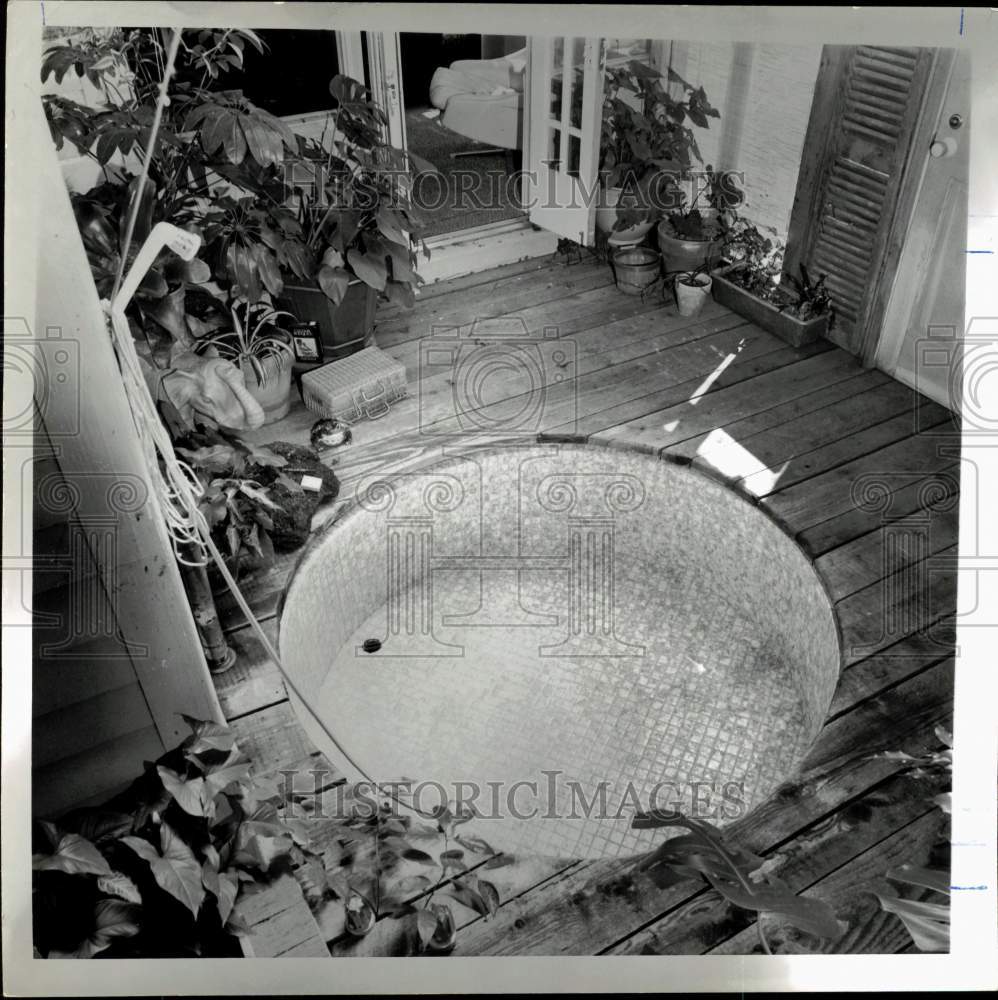 1975 Press Photo Greenhouse Porch Bath in Montrose Area - hps10451- Historic Images