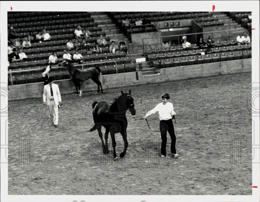 1987 Press Photo Mare Trots for Judge at Horse Show - hps20122- Historic Images