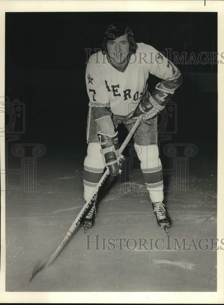 1973 Press Photo Houston Aeros hockey player Frank Hughes - hps21554 - Historic Images