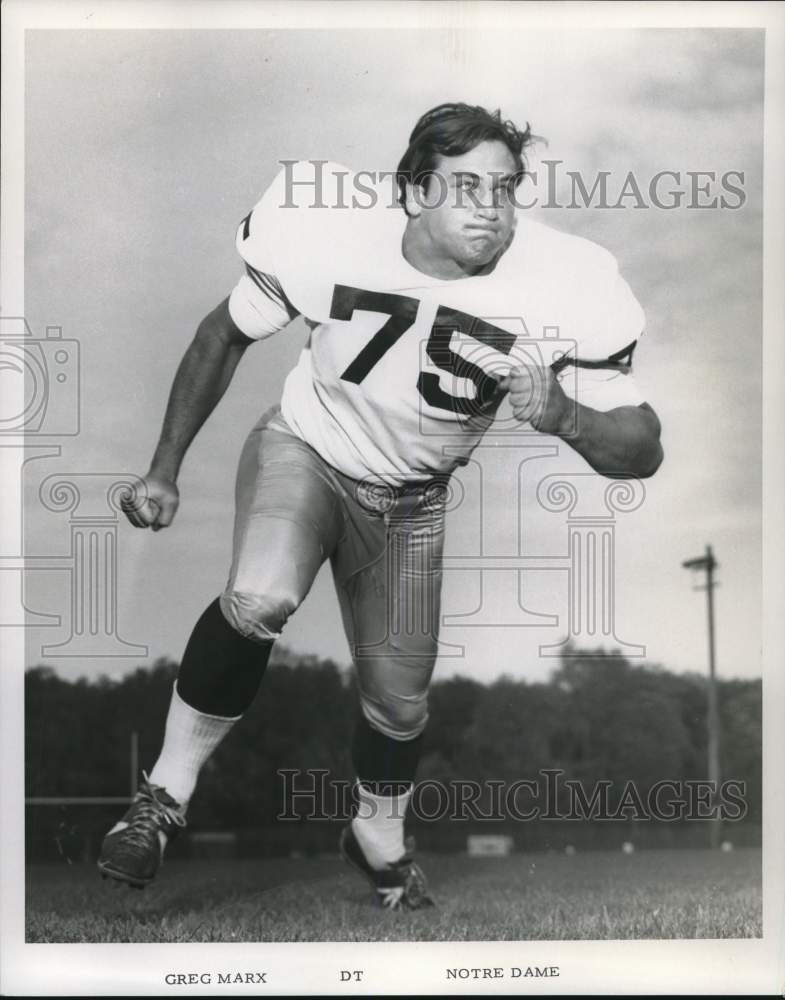 1971 Press Photo Greg Marx, Notre Dame Football Defensive Tackle - hpx02440 - Historic Images