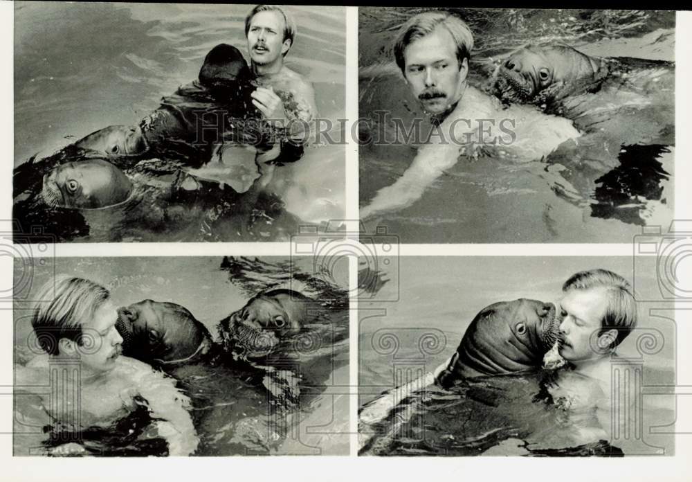 1971 Press Photo Keeper Roger Birkell trains walrus cubs at St. Louis Zoo pool- Historic Images