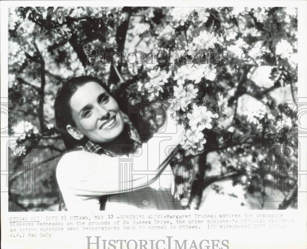 1977 Press Photo Margaret Trudeau admires crabapple blossoms in Ottawa- Historic Images