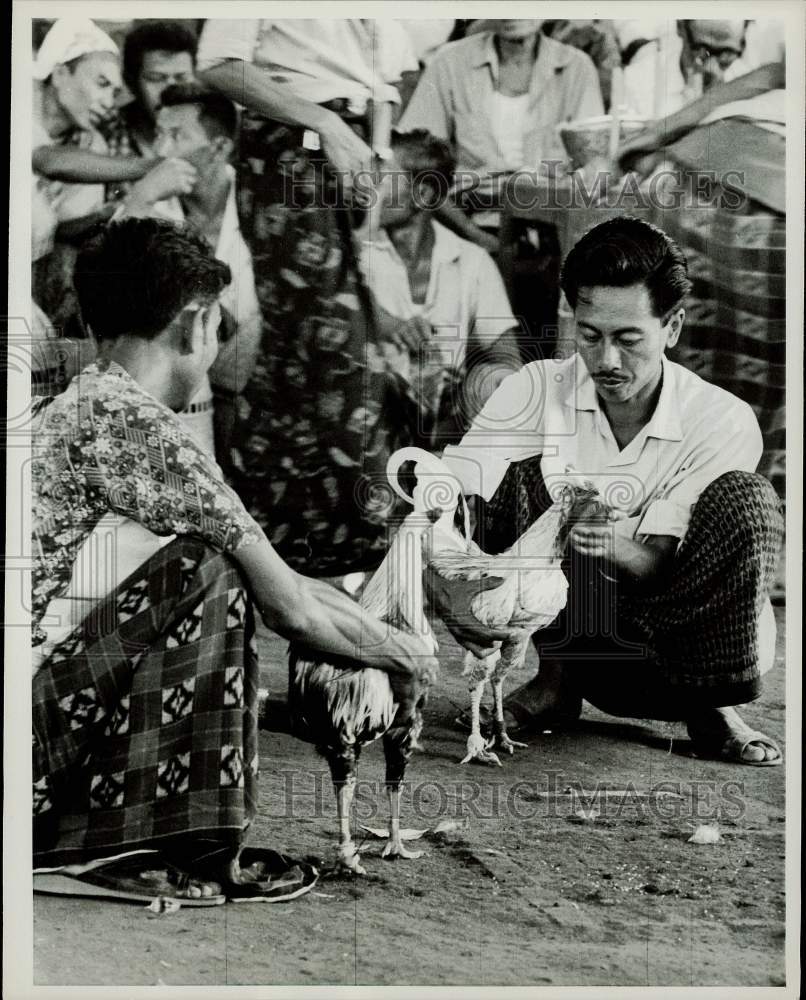 1969 Press Photo Cock fight at religions temple festival on Island of Bali.- Historic Images