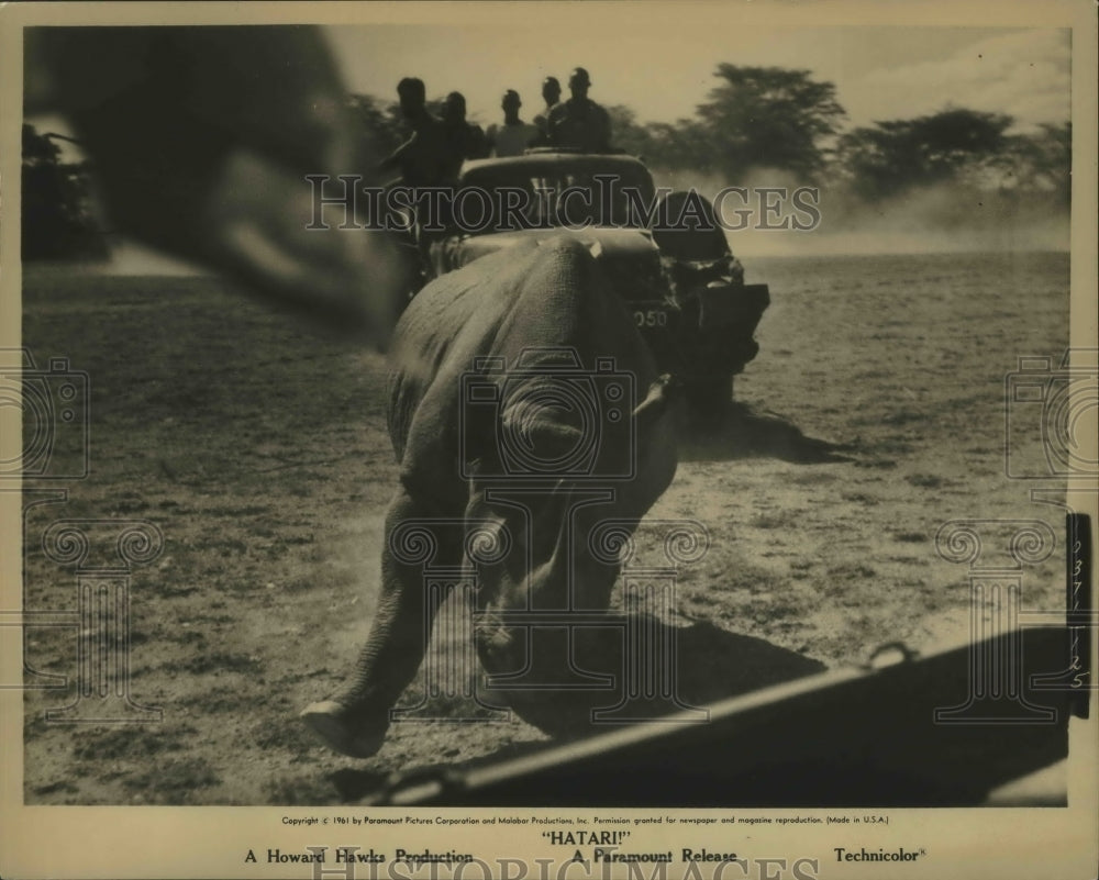 1961 Press Photo A rhino chase scene in film Hitari by Parmount - Historic Images